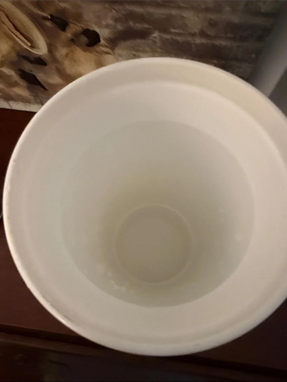 Aulani Disney Resort plastic tumbler NO LID